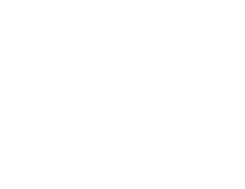 Polanco & Associates LLC